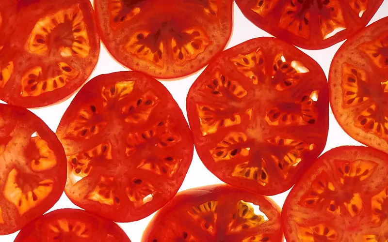 Backlit tomato slices showing the seed cavities inside the fruit